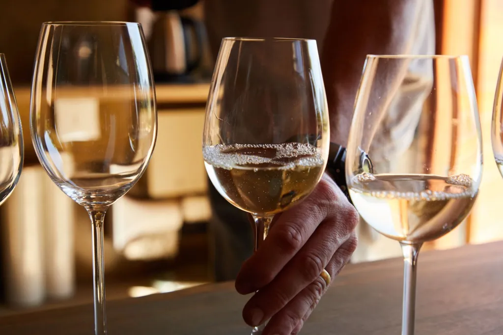 Wine Country, Made Easy