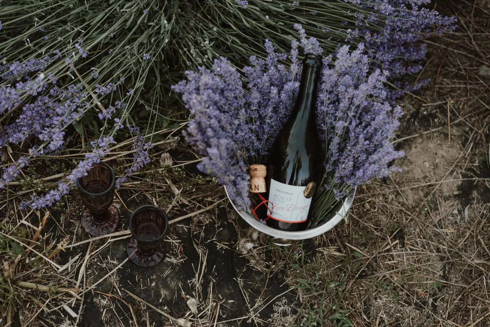 How to Plan a Group Wine Tour